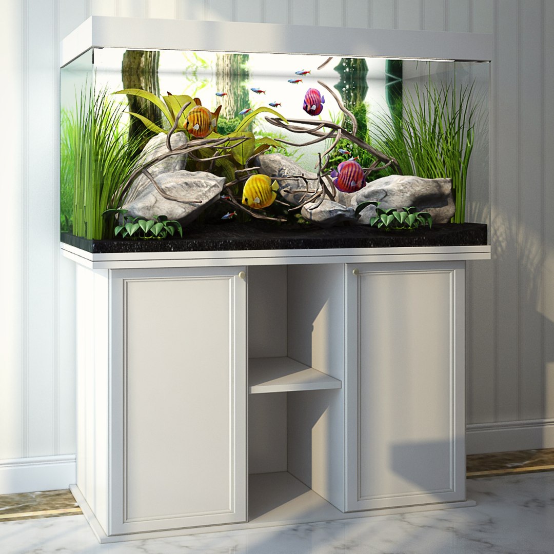 Aquarium Tropical 3d Model