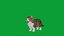 Munchkin Cat