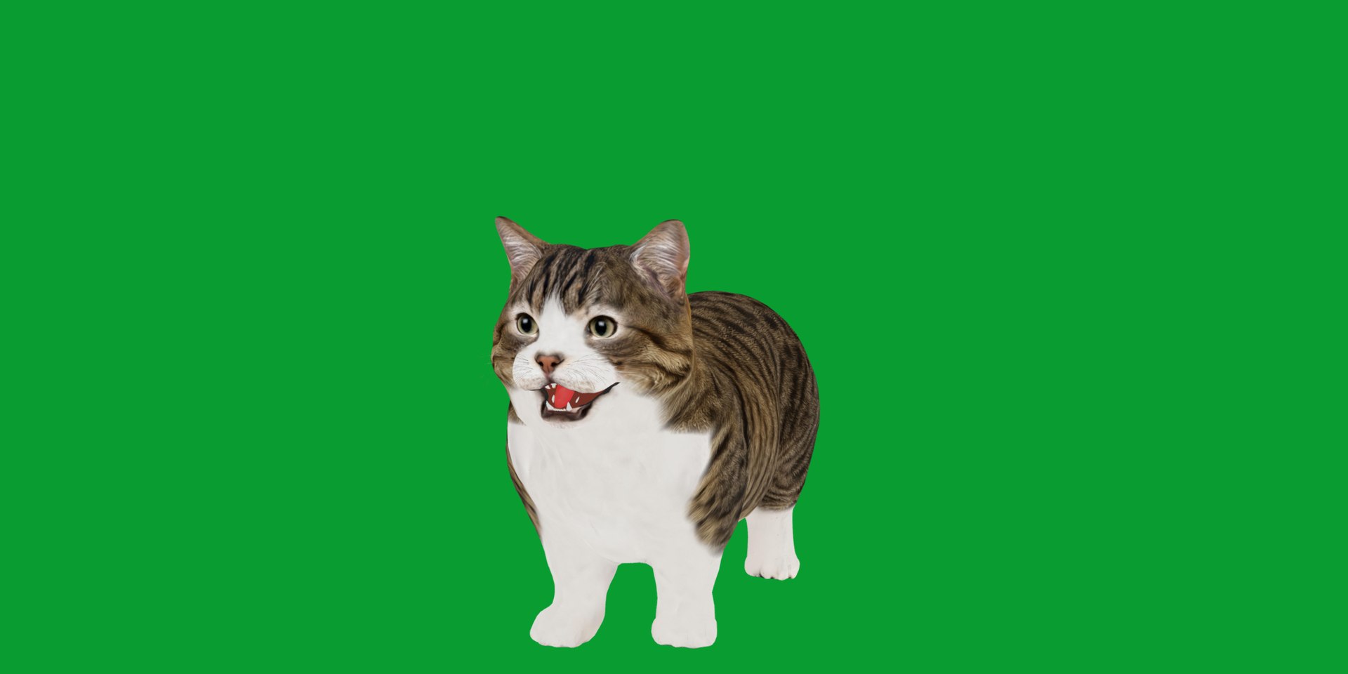 Munchkin Cat 3D model https://p.turbosquid.com/ts-thumb/CE/uUlFLJ/1Z/munchkin6/png/1791007818/1920x1080/fit_q87/455e5707de44d27c972c58e92a8999bfc3abd897/munchkin6.jpg