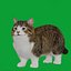Munchkin Cat