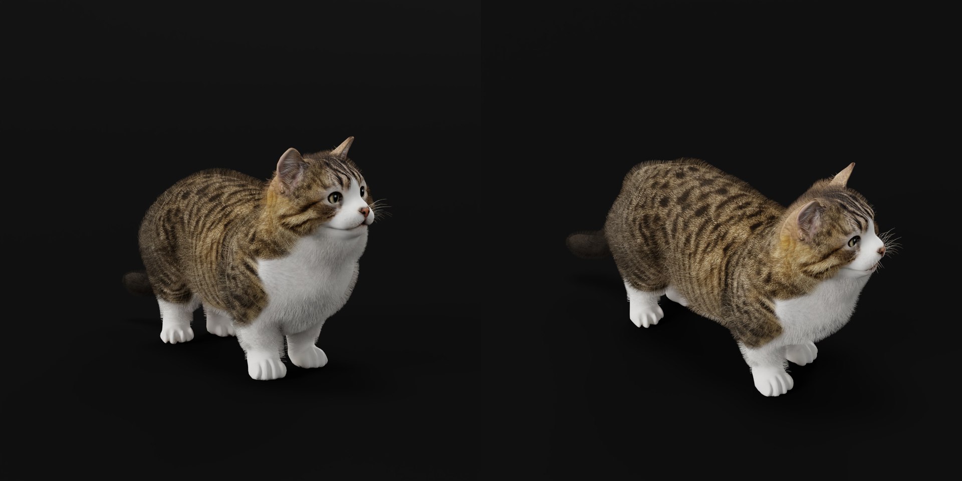 Munchkin Cat 3D model https://p.turbosquid.com/ts-thumb/CE/uUlFLJ/7Z/munchkin9/png/1791007820/1920x1080/fit_q87/286877642b7b751d7424a1bae9dd20d6599946df/munchkin9.jpg