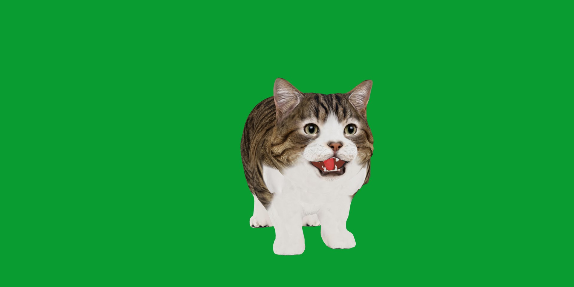 Munchkin Cat 3D model https://p.turbosquid.com/ts-thumb/CE/uUlFLJ/9s/munchkin30/png/1791007839/1920x1080/fit_q87/53804864e197e4ce2845b3945e362d39372999ca/munchkin30.jpg