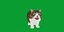 Munchkin Cat