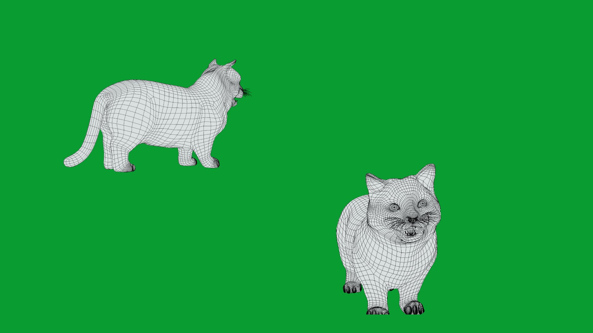 Munchkin Cat 3D model https://p.turbosquid.com/ts-thumb/CE/uUlFLJ/AV/wire/png/1791007912/1920x1080/fit_q87/aef134478be90e12f34f71272f3f348acacb4c71/wire.jpg