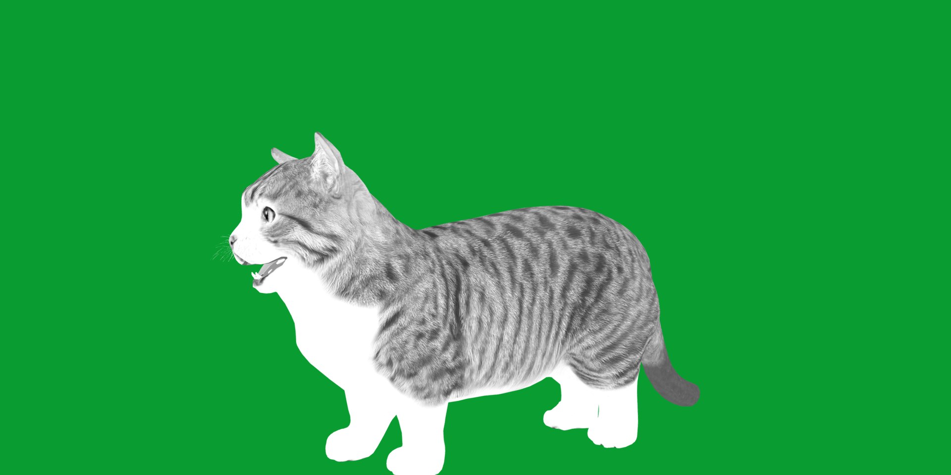 Munchkin Cat 3D model https://p.turbosquid.com/ts-thumb/CE/uUlFLJ/AY/munchkin19/png/1791007831/1920x1080/fit_q87/e5c06fd28b5e1e3e2ab6b88bf390aa2f364dcb5b/munchkin19.jpg