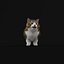 Munchkin Cat