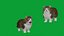 Munchkin Cat