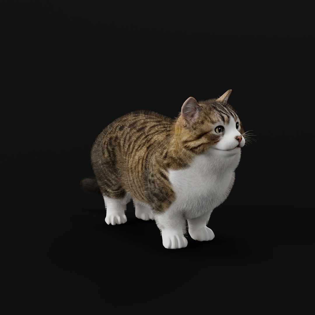Munchkin Cat 3D model https://p.turbosquid.com/ts-thumb/CE/uUlFLJ/FK/munchkincatao_0000/jpg/1791007854/1920x1080/fit_q87/186a4a4254f44540c49d2354907a07043bac49d2/munchkincatao_0000.jpg