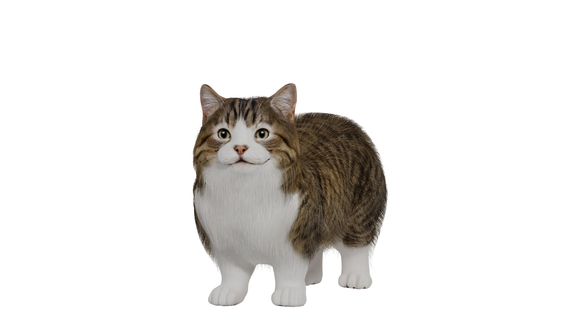 Munchkin Cat 3D model https://p.turbosquid.com/ts-thumb/CE/uUlFLJ/KA/g22/png/1791007862/1920x1080/fit_q87/e5335e5810aa60f7bd2ab1184f52c85881a3c3a1/g22.jpg
