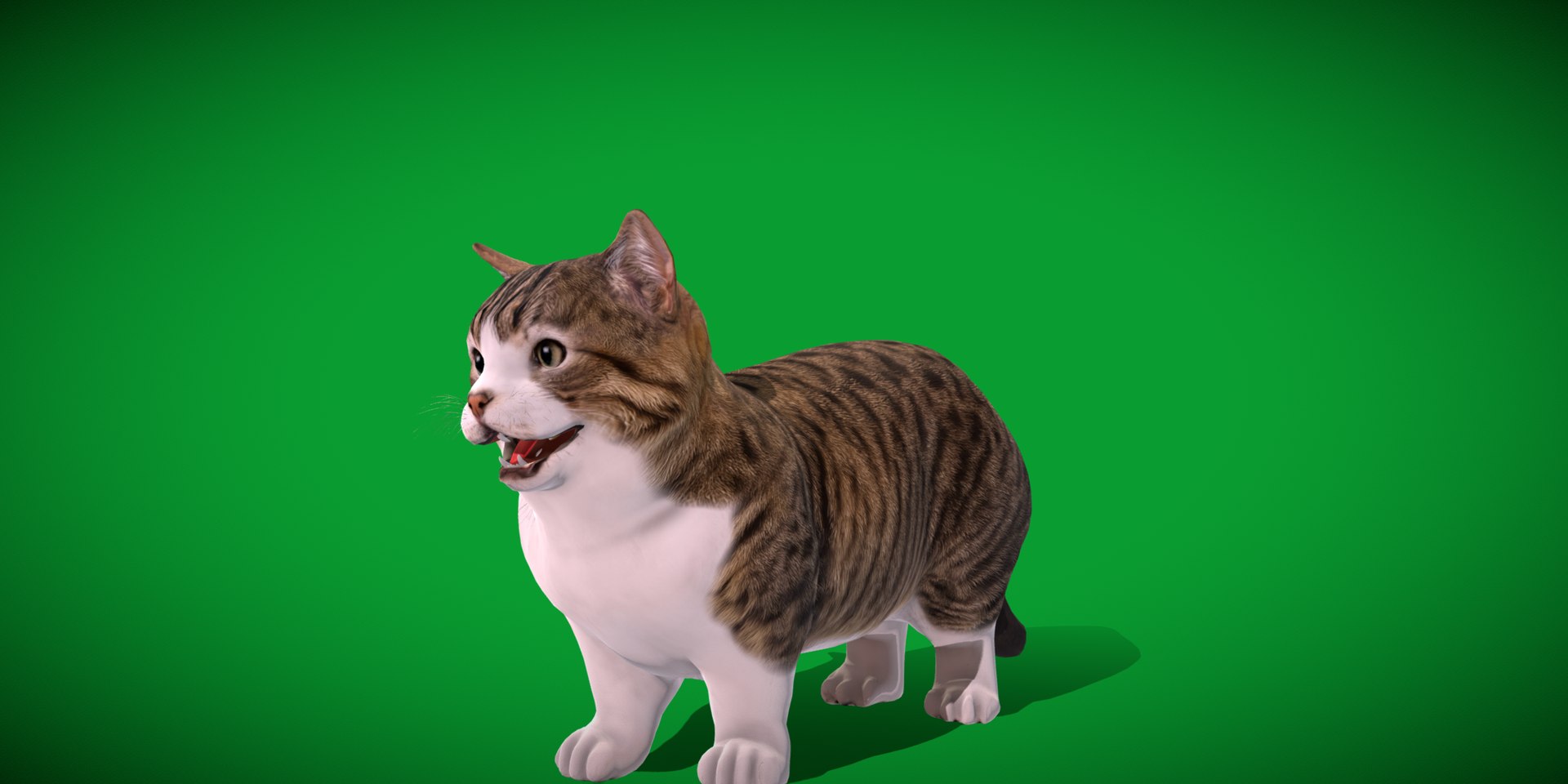 Munchkin Cat 3D model https://p.turbosquid.com/ts-thumb/CE/uUlFLJ/R9/munchkin13/png/1791007827/1920x1080/fit_q87/569f517a0295d37c3649fb509bd9df0840e27afa/munchkin13.jpg