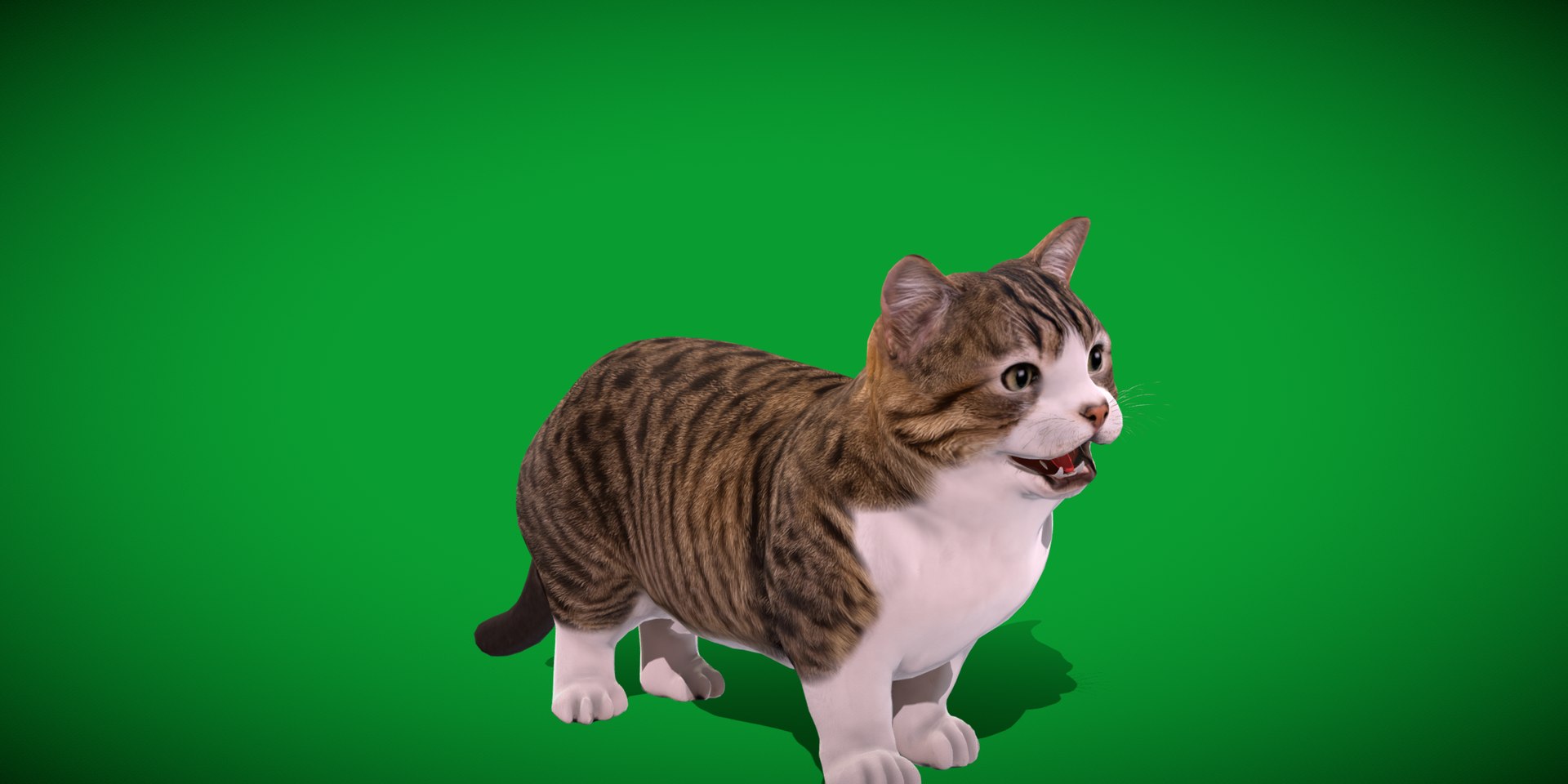 Munchkin Cat 3D model https://p.turbosquid.com/ts-thumb/CE/uUlFLJ/VZ/munchkin15/png/1791007827/1920x1080/fit_q87/fd55c5ea3ce01305453280d10932d46c68a2cb65/munchkin15.jpg