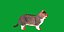 Munchkin Cat