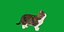 Munchkin Cat