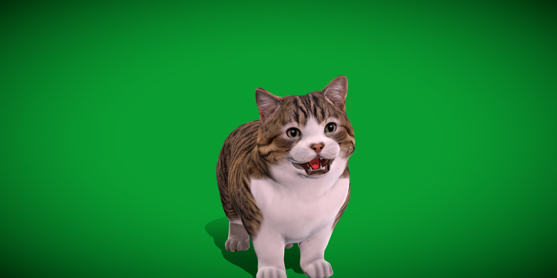 Munchkin Cat 3D model https://p.turbosquid.com/ts-thumb/CE/uUlFLJ/cp/munchkin14/png/1791007828/1920x1080/fit_q87/2ca03e02824d90dc9d3ad2144067f1cbfbcc3a70/munchkin14.jpg