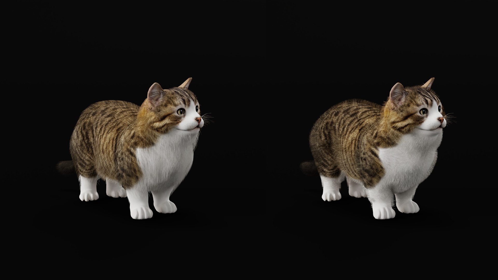 Munchkin Cat 3D model https://p.turbosquid.com/ts-thumb/CE/uUlFLJ/xS/dwarf_cat2/png/1791007857/1920x1080/fit_q87/ccaf38d08c0e55a90a1d1f727d0a4ec7876aa029/dwarf_cat2.jpg