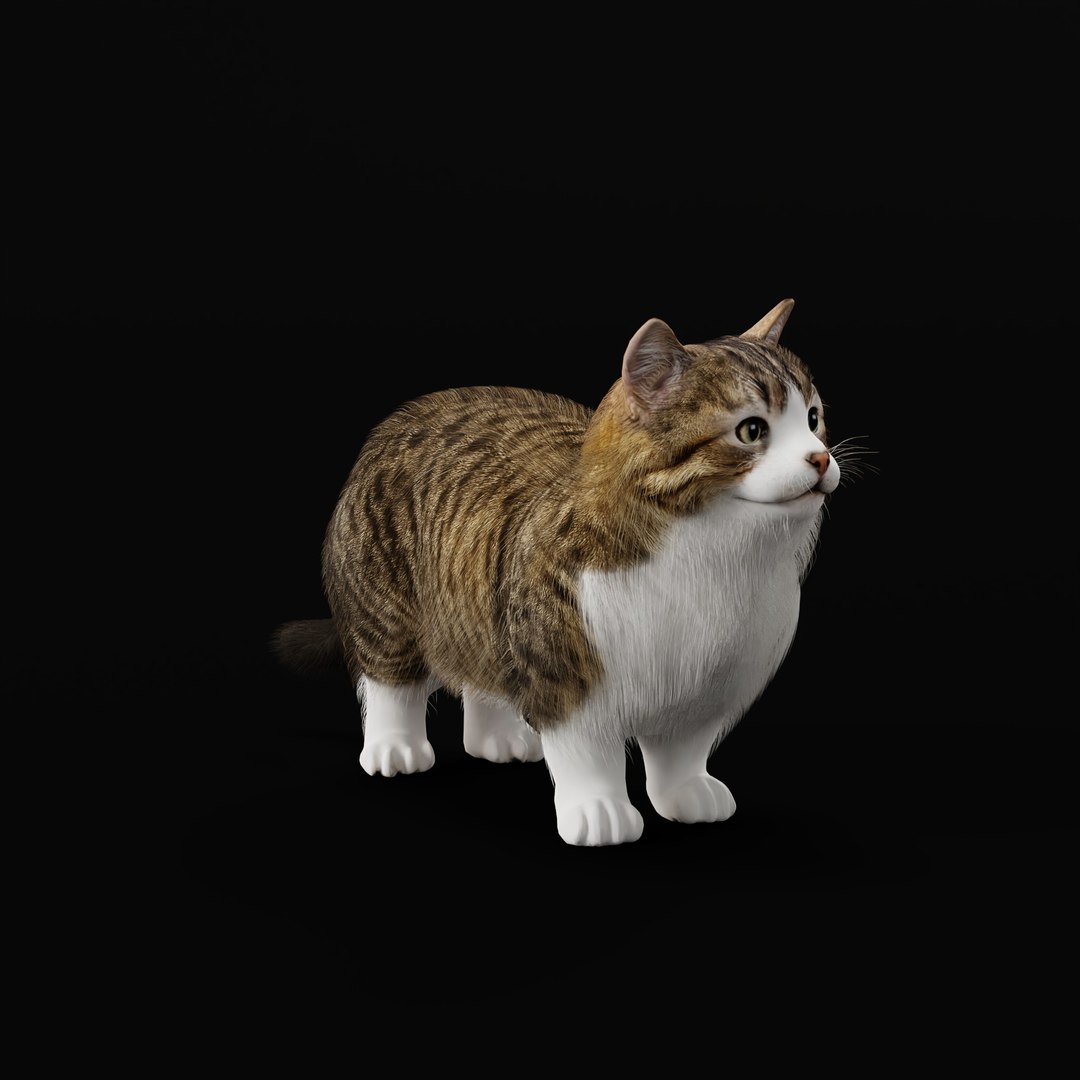 Munchkin Cat 3D model https://p.turbosquid.com/ts-thumb/CE/uUlFLJ/yS/munchkin_cat_ao_0010/jpg/1791007848/1920x1080/fit_q87/61a17d65b6e80ad9b4f6b36e0aad5481b4e3e55d/munchkin_cat_ao_0010.jpg