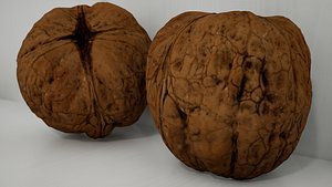 Realistic Walnut 3D model