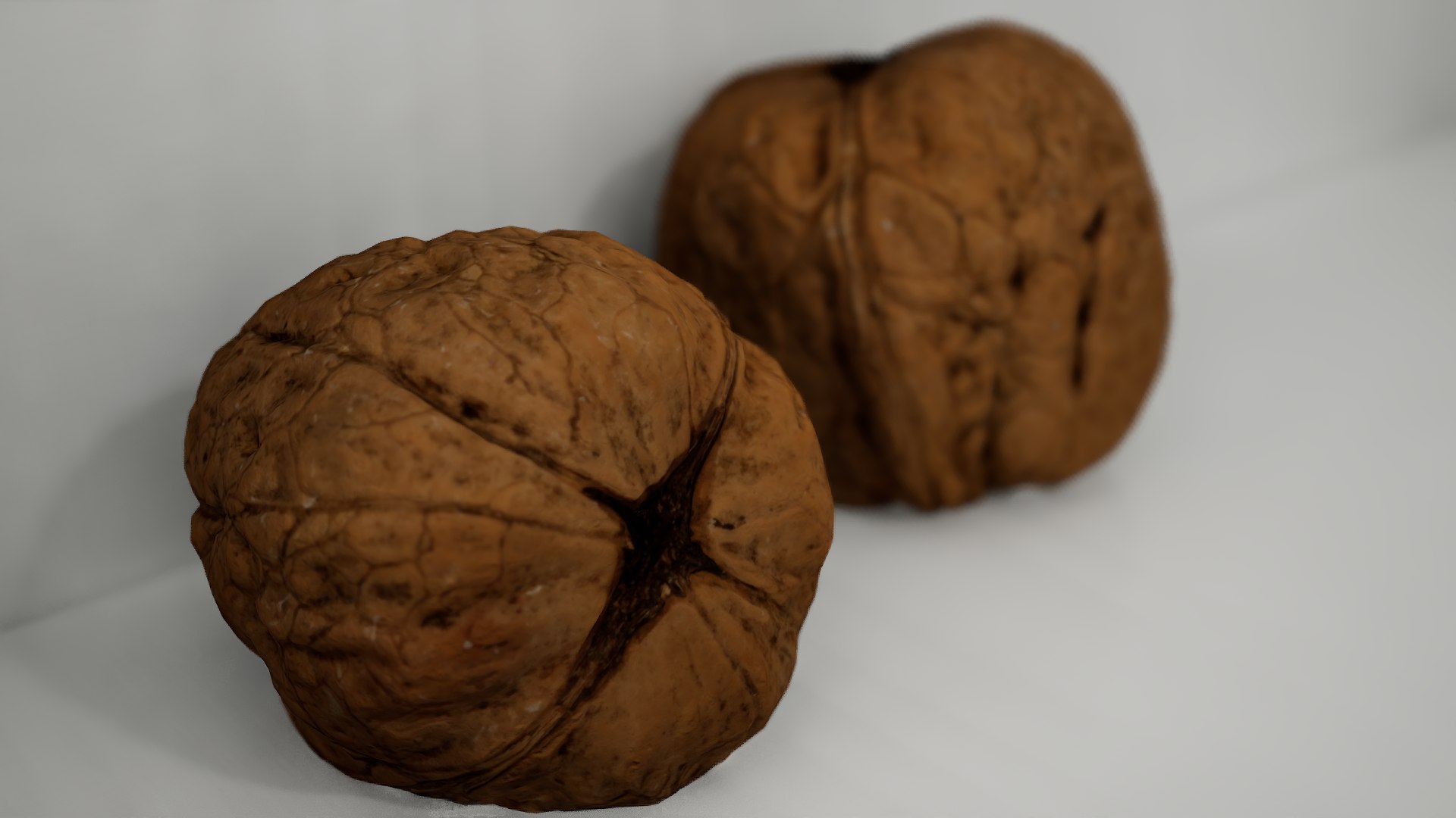 Realistic Walnut 3D model https://p.turbosquid.com/ts-thumb/CF/1awZpk/JW/shot1/png/1734359204/1920x1080/fit_q87/9f516c84d75720adfa897782bc5f8dc7d210e900/shot1.jpg