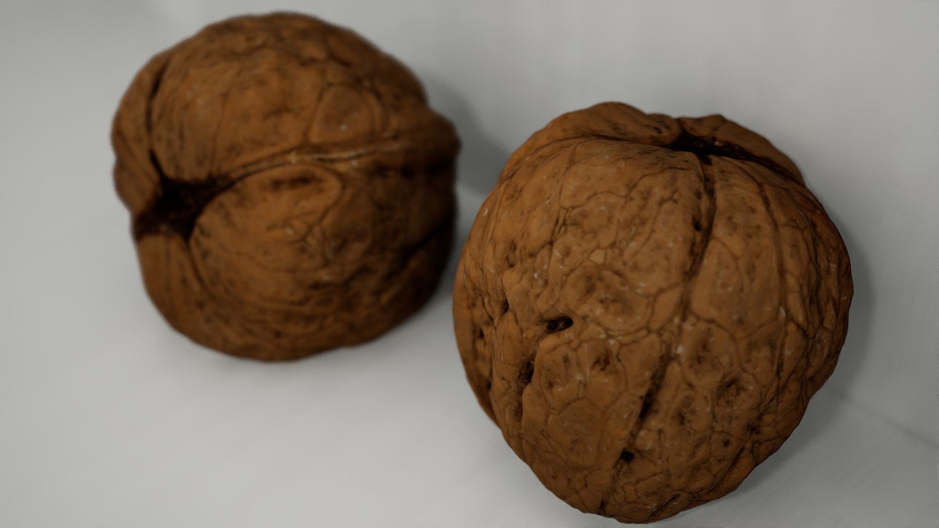 Realistic Walnut 3D model https://p.turbosquid.com/ts-thumb/CF/1awZpk/Pm/shot2/png/1734359203/1920x1080/fit_q87/a6298d72bf02a1e0cec427d156a0423671bd028b/shot2.jpg