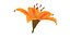 Realistic Orange Lily 3D Model - High-Quality 4K PBR Asset 3D model