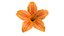 Realistic Orange Lily 3D Model - High-Quality 4K PBR Asset 3D model