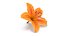 Realistic Orange Lily 3D Model - High-Quality 4K PBR Asset 3D model