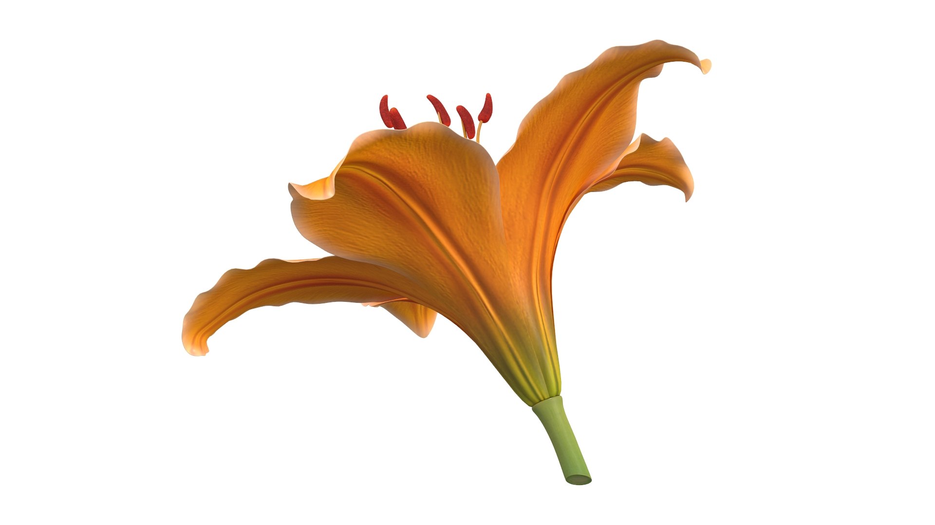 Realistic Orange Lily 3D Model - High-Quality 4K PBR Asset 3D model https://p.turbosquid.com/ts-thumb/CF/3gSx4M/gJ/4/jpg/1741943075/1920x1080/fit_q87/ad4edb0e9cd6e213e5bbe7c5ed0b4a1630b8df7e/4.jpg