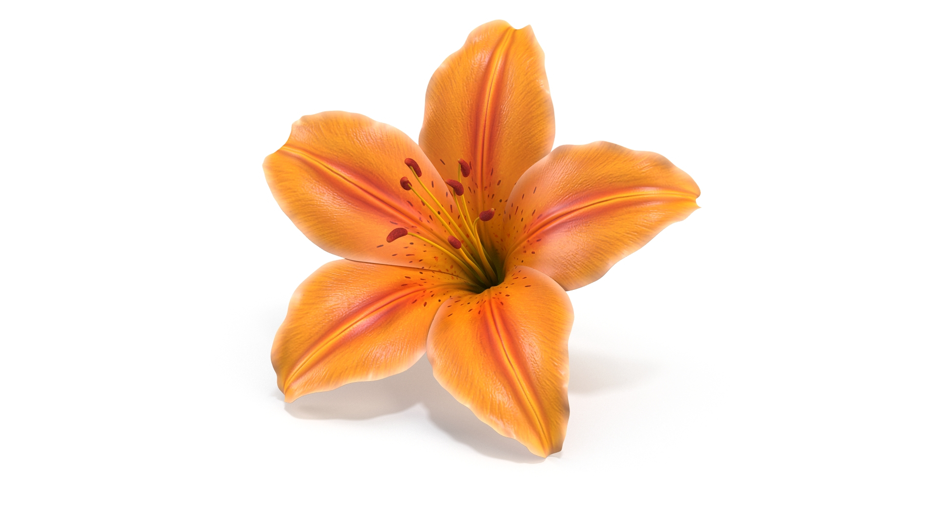 Realistic Orange Lily 3D Model - High-Quality 4K PBR Asset 3D model https://p.turbosquid.com/ts-thumb/CF/3gSx4M/n7/r/jpg/1741943143/1920x1080/turn_fit_q99/8b24726242675243f38b044195dfc5836b15b692/r-1.jpg
