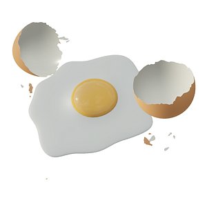broken egg 3D model