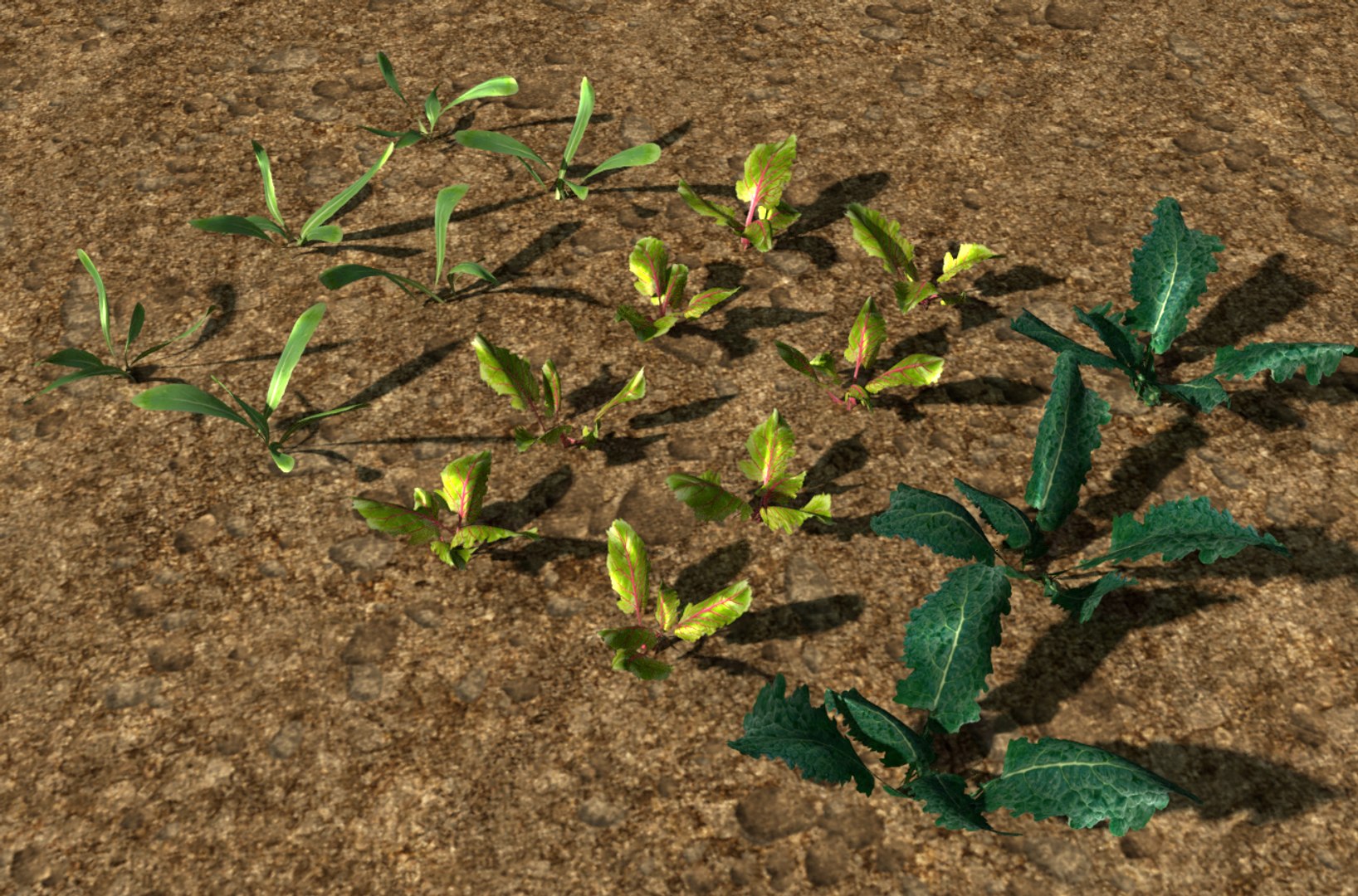 3D pack crops plant model https://p.turbosquid.com/ts-thumb/CF/FRbR90/7I8QXxBN/1/png/1545080498/1920x1080/fit_q87/51eaca576d56b00aa929ca6e7c6b8b8f6aae2257/1.jpg