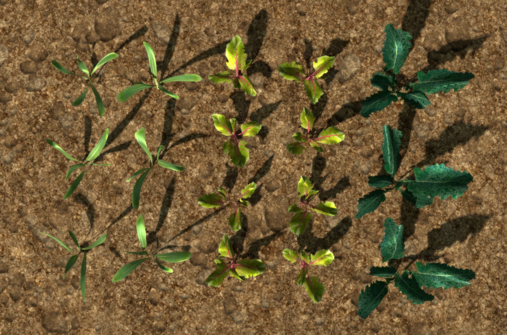 3D pack crops plant model https://p.turbosquid.com/ts-thumb/CF/FRbR90/u1HN66WS/4/png/1545080602/1920x1080/fit_q87/96a4d971589a750b8fa95cb815bfcc8c9a5e4143/4.jpg