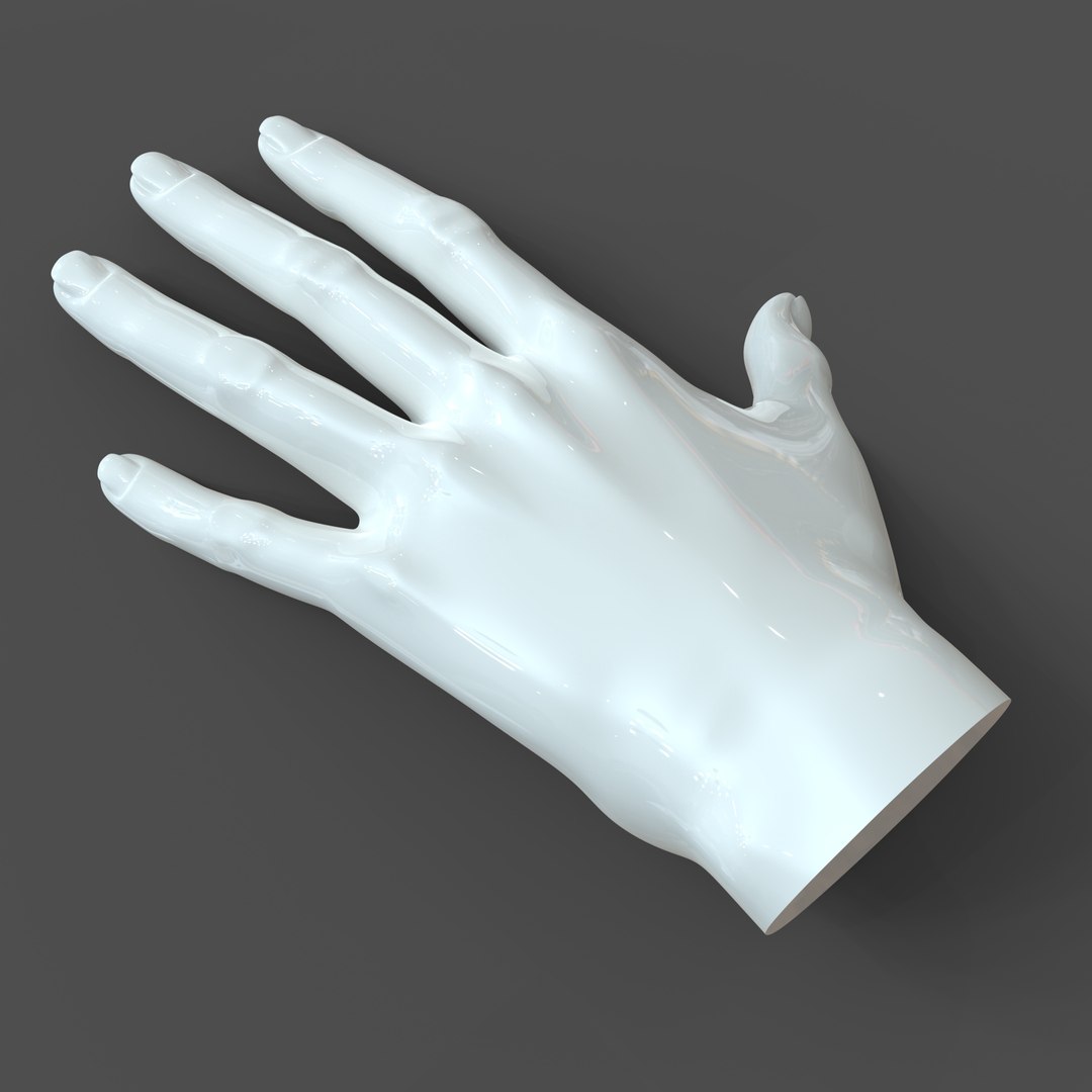 left hand casual 3D https://p.turbosquid.com/ts-thumb/CF/HtTQXq/4CvsdAnZ/basef1_hand.172/jpg/1543458942/1920x1080/fit_q87/8778c3c469ffcf529b8c33bbe0aa2d414c4f003d/basef1_hand.172.jpg