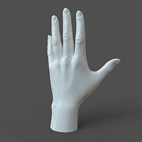 CAD-friendly Casual Female Hand Model F1P1D0V1hand