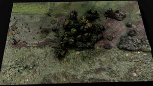 3D forest ground trees field grass terrain part1 aerial dronescan model