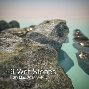 3d wet stones model