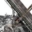 Coal Loader Machine