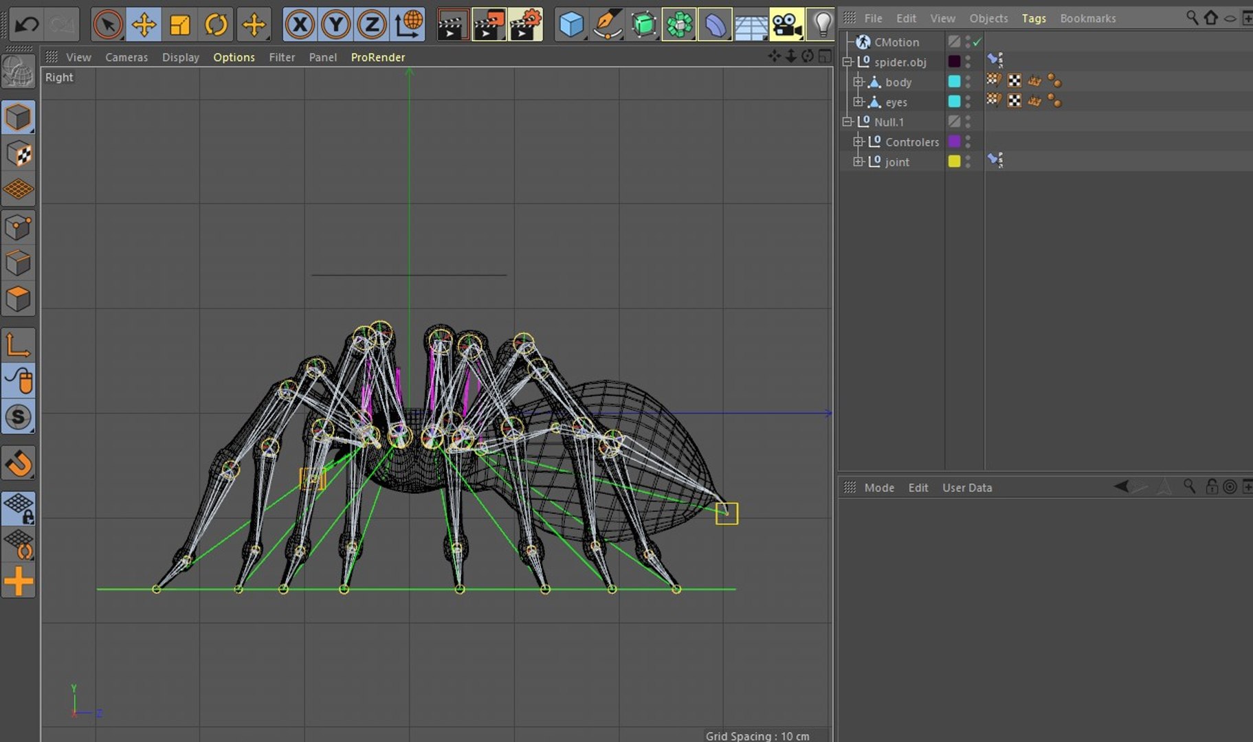 Spider Rigged 3D Model - TurboSquid 1588398