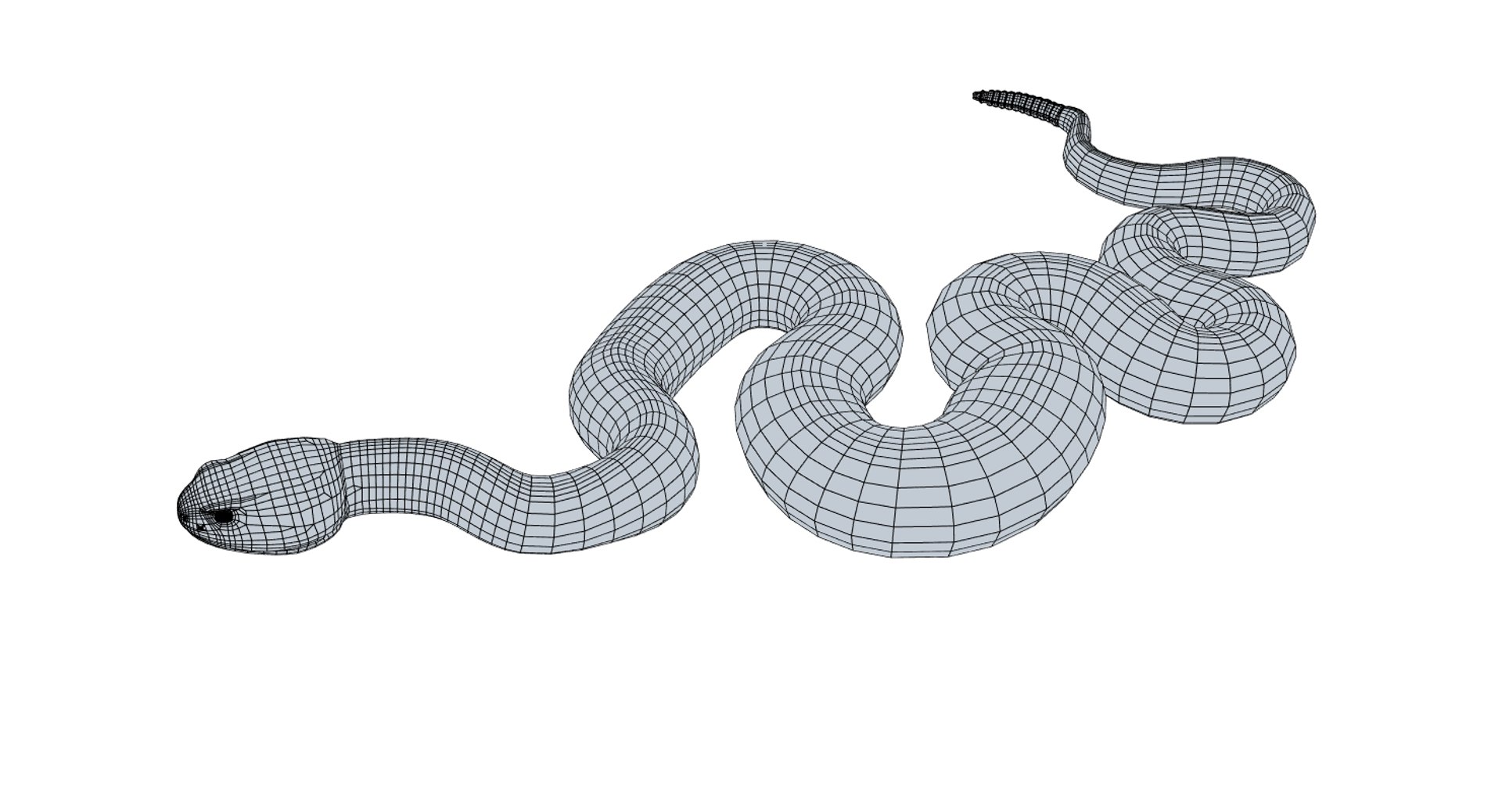 3D Western Diamondback Ratllesnake Mesh https://p.turbosquid.com/ts-thumb/CF/pzGSia/aI/easterndiamondwire_007/jpg/1629383786/1920x1080/fit_q87/eca4f8c60a89221e66e680bbaf4e159ab7b83386/easterndiamondwire_007.jpg