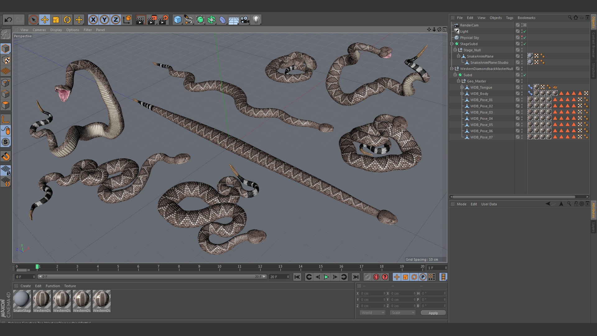 3D Western Diamondback Ratllesnake Mesh https://p.turbosquid.com/ts-thumb/CF/pzGSia/eU/wdb_screen/png/1629383793/1920x1080/fit_q87/ca7cc67cc718b8a473d1b2906d37c259f9277538/wdb_screen.jpg