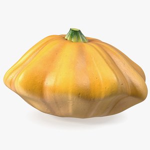 3D Orange Color Bush Pumpkin