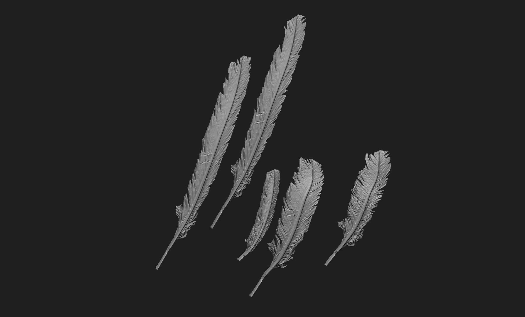 3D model feathers https://p.turbosquid.com/ts-thumb/CG/80YxBP/B3/5/jpg/1712065004/1920x1080/fit_q87/eb17d7cbee4893182e2ea279ee0e75d8c6091051/5.jpg