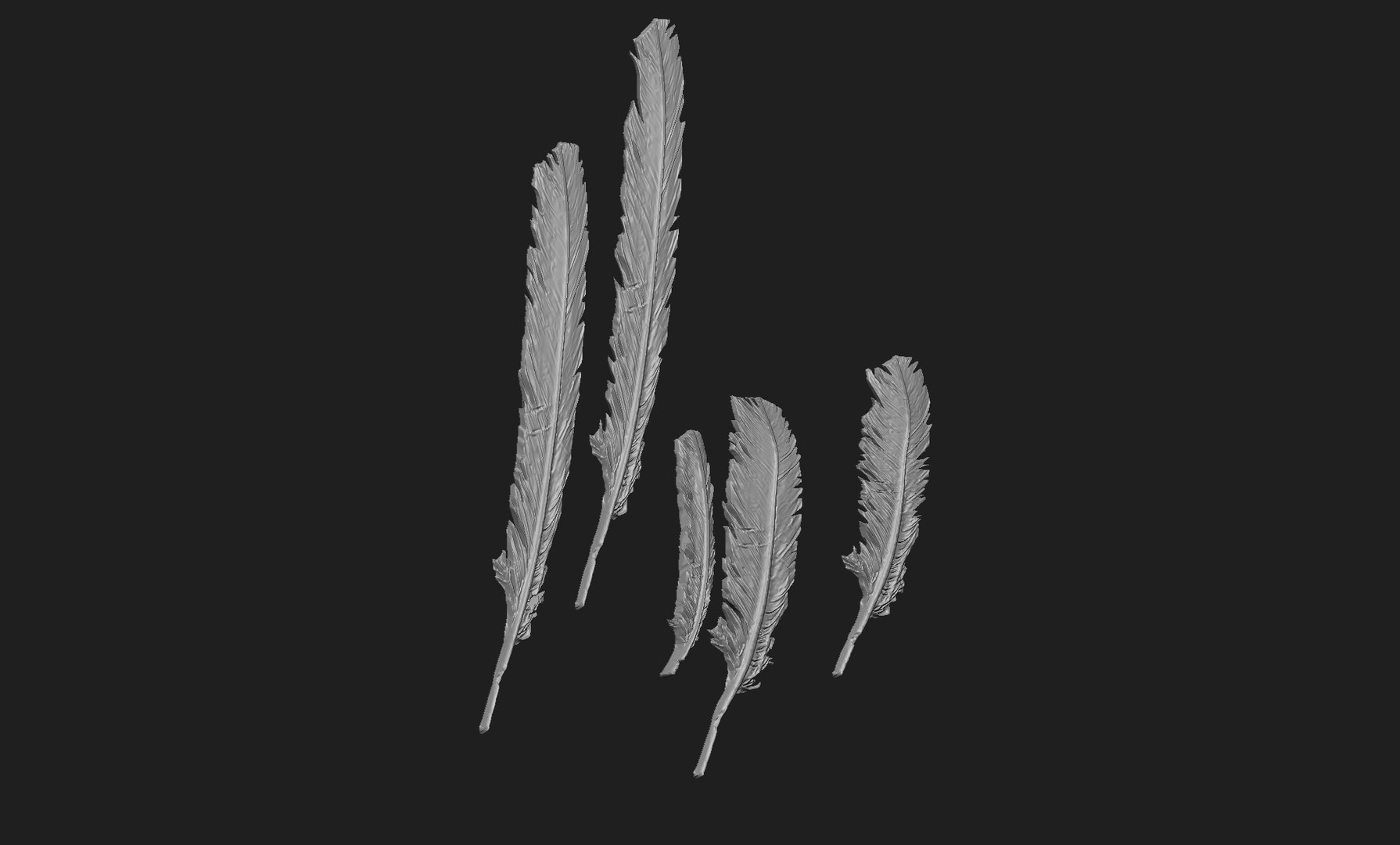 3D model feathers https://p.turbosquid.com/ts-thumb/CG/80YxBP/OP/7/jpg/1712065005/1920x1080/fit_q87/b92215035c3d3233561c4eb1ff66e2c37f339c0f/7.jpg