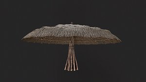 Primitive Wooden Shelter with Thatch Roof 7