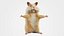 Cute hamster