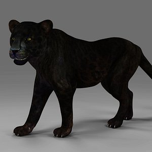 Black Panther Rigged in Blender 3D model
