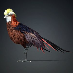 3D model Pheasant-A1