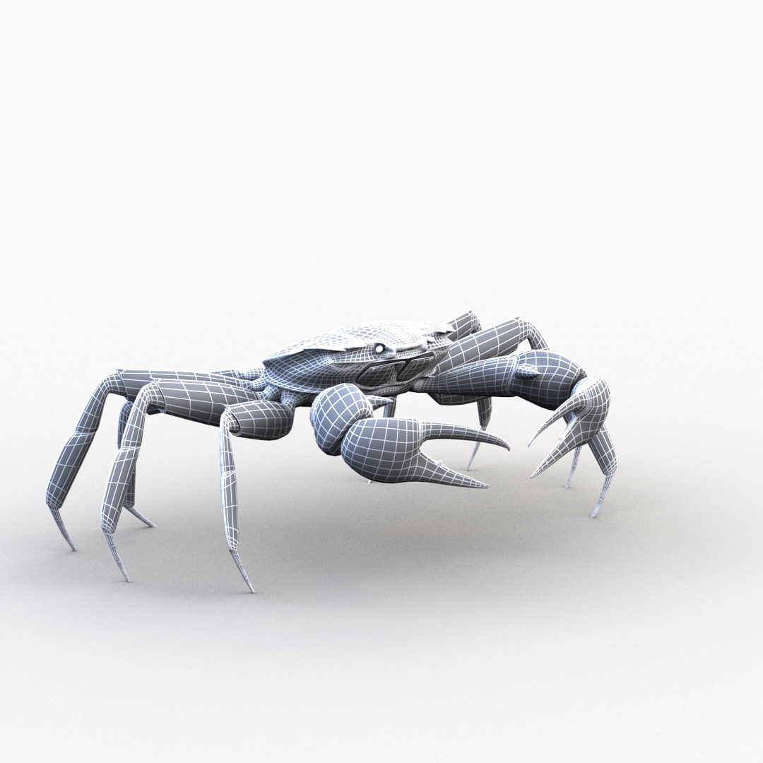 Crab male rigged model - TurboSquid 1485070
