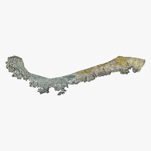 3D Rocky Coastal Beach    - 3D PBR Model model
