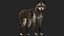 Wolf NoFur