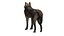 Wolf NoFur